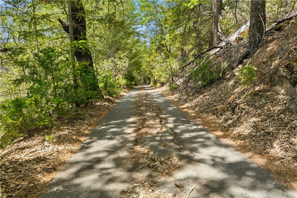 main property photo 49