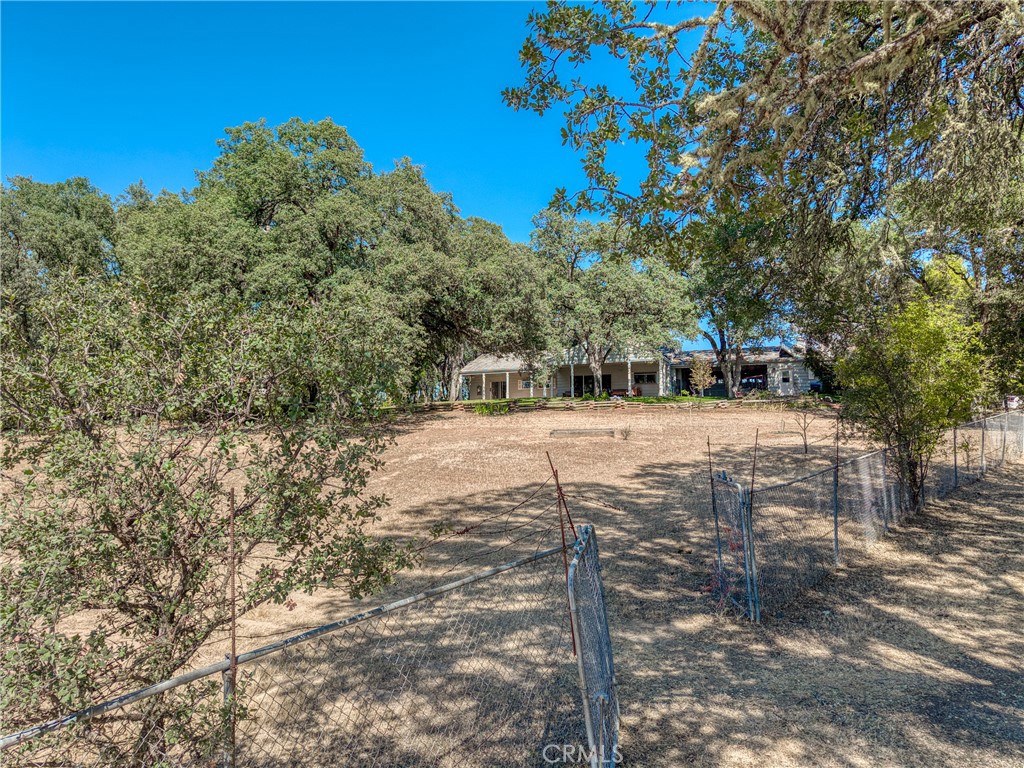 main property photo 62