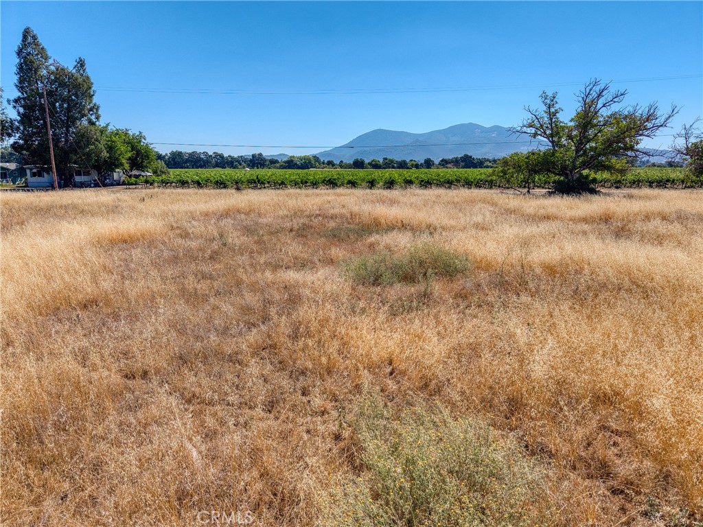 main property photo 17