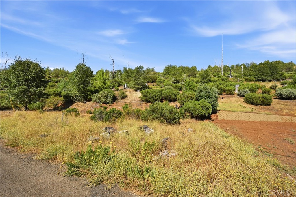 main property photo 7