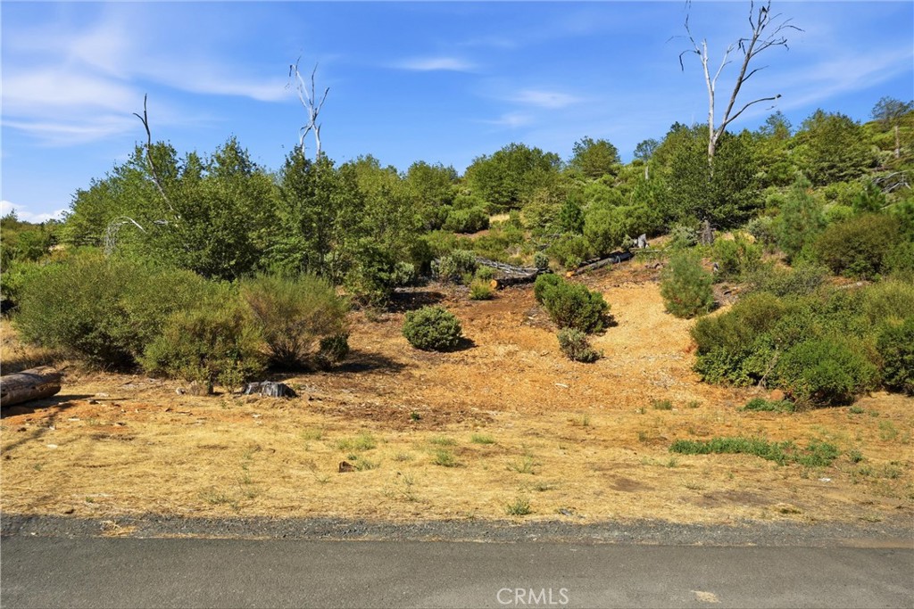 main property photo 9