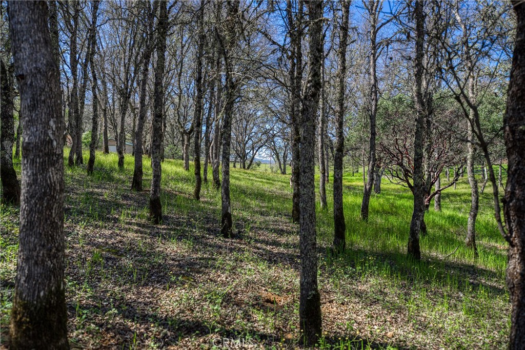 main property photo 37