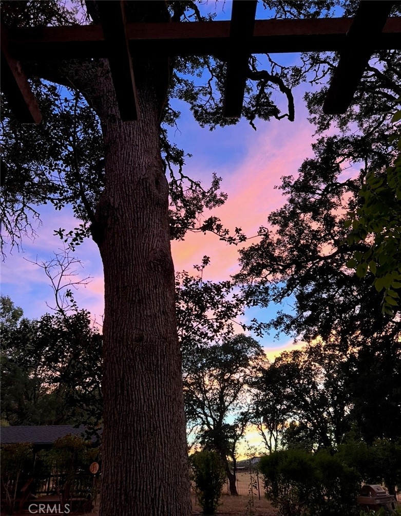 main property photo 48