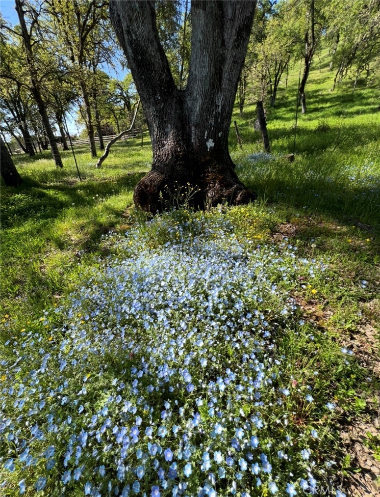 main property photo 57