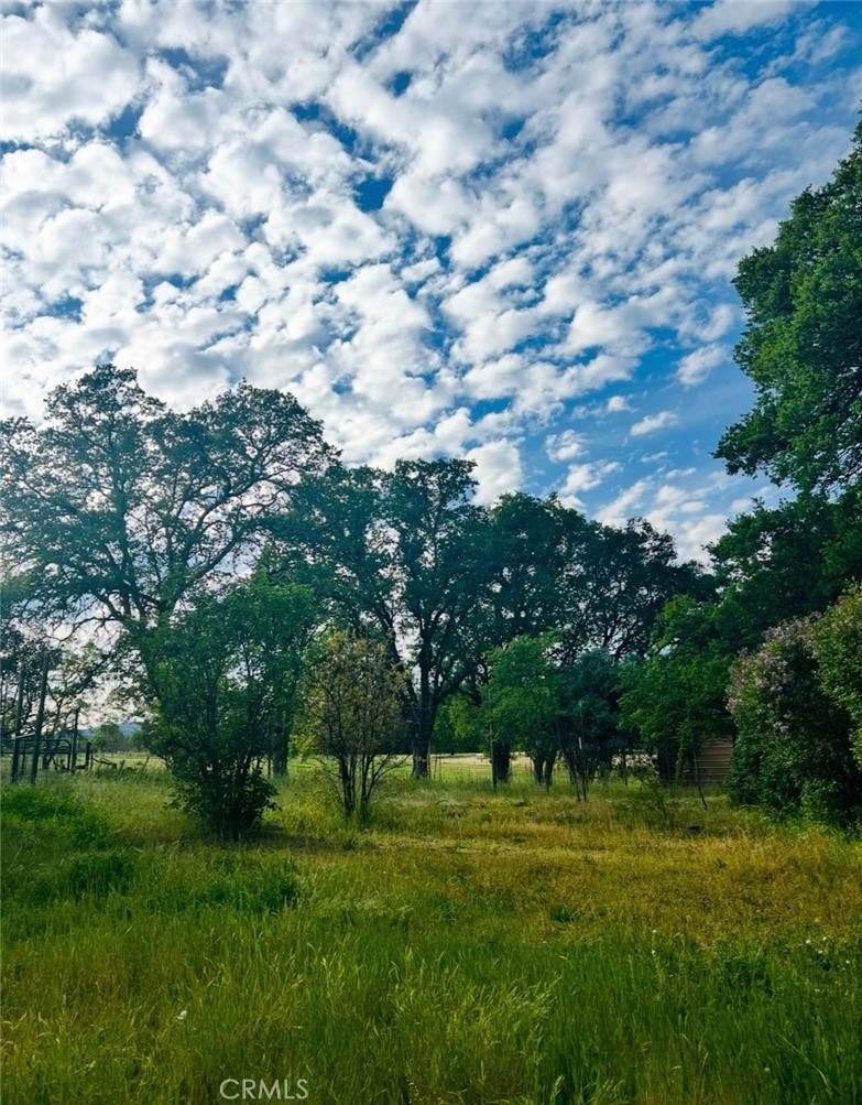 main property photo 58