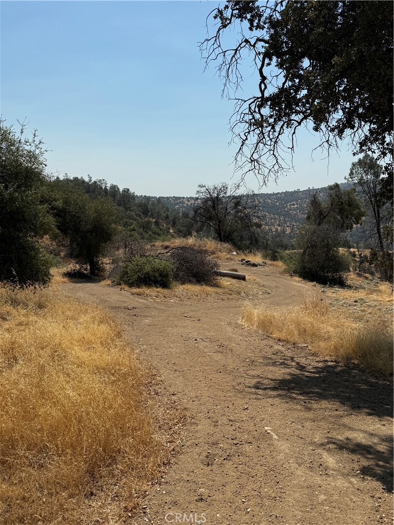 main property photo 37