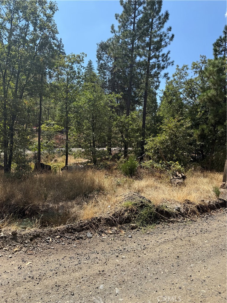 main property photo 9