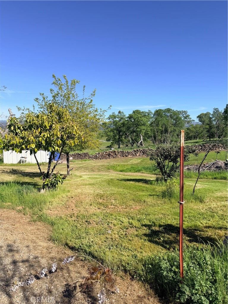main property photo 52
