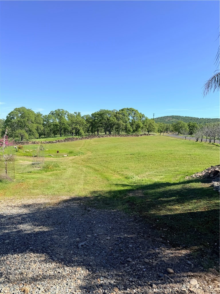 main property photo 53