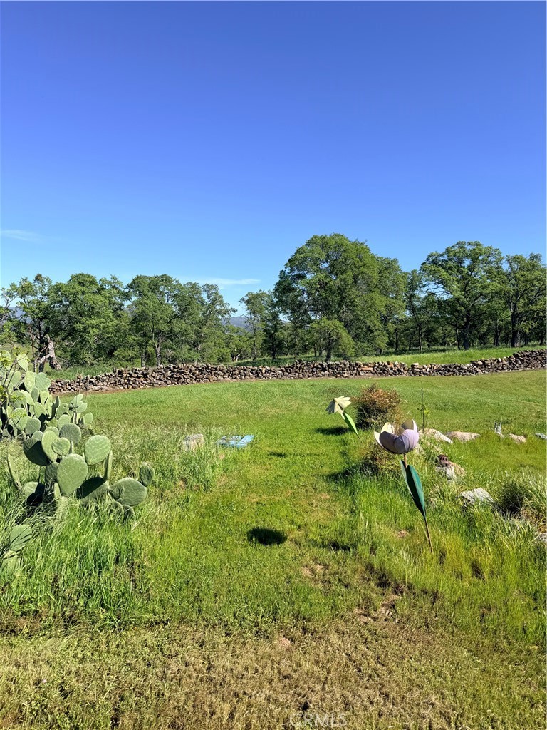 main property photo 56