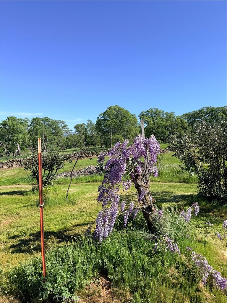 main property photo 60