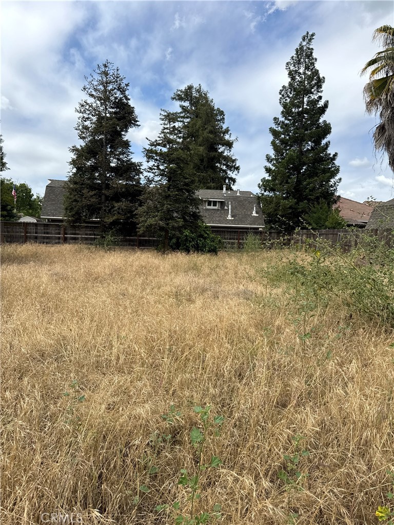 main property photo 64