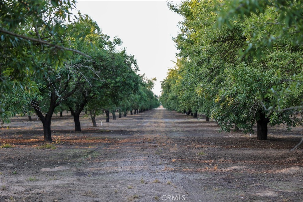 main property photo 61