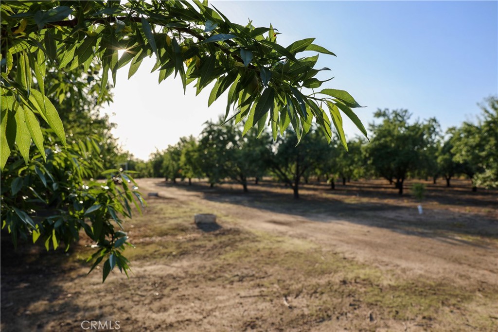 main property photo 62