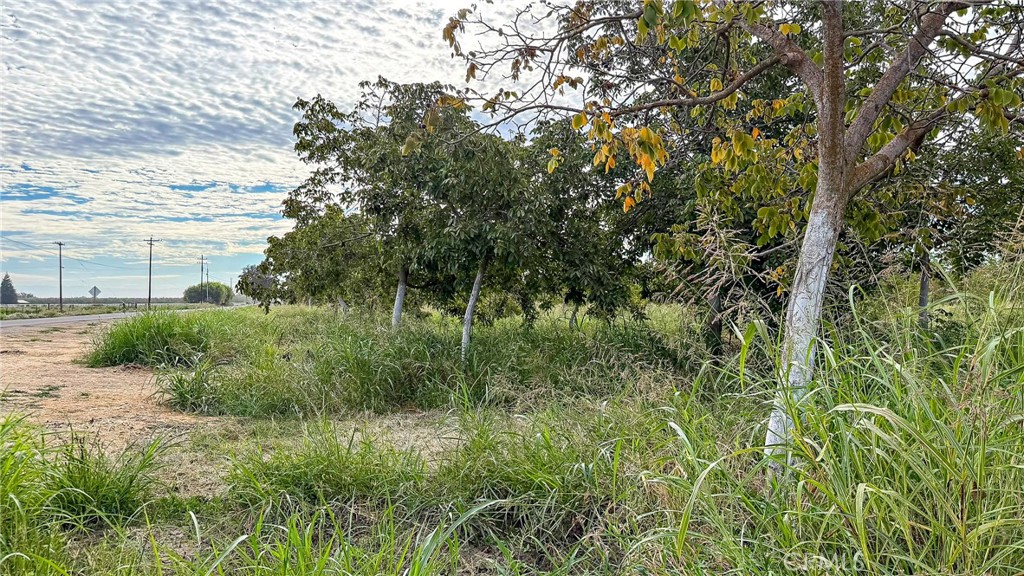 main property photo 32