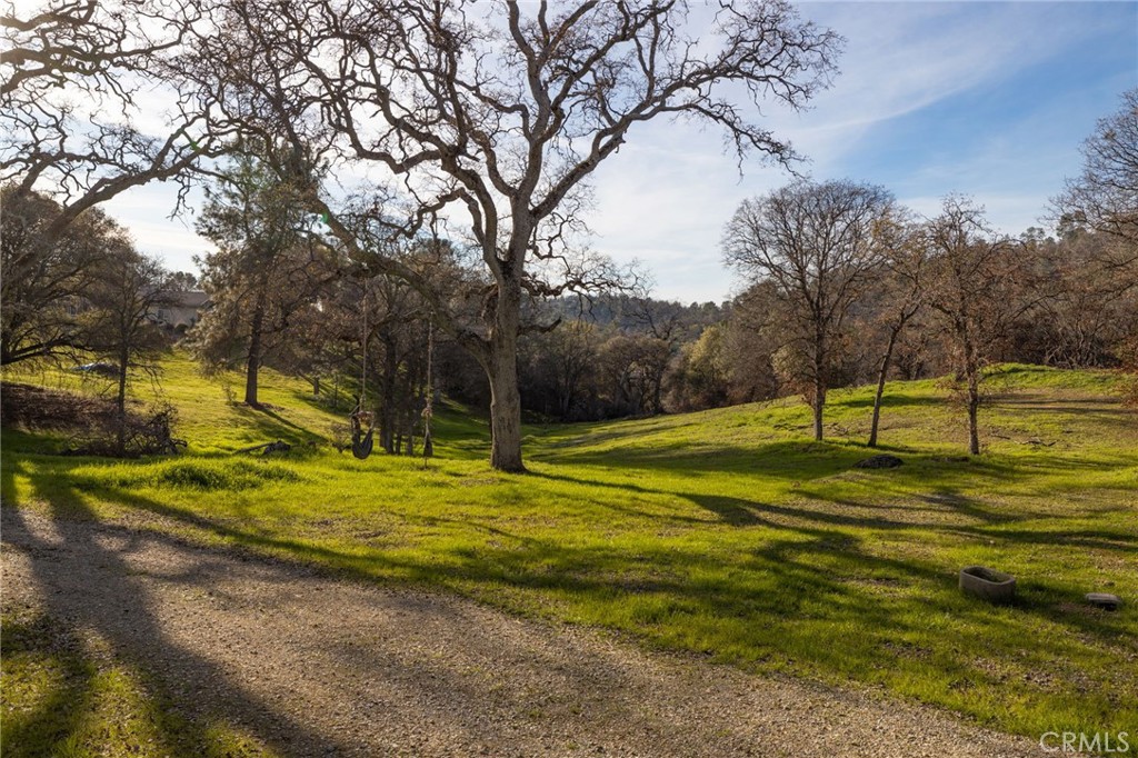 main property photo 39