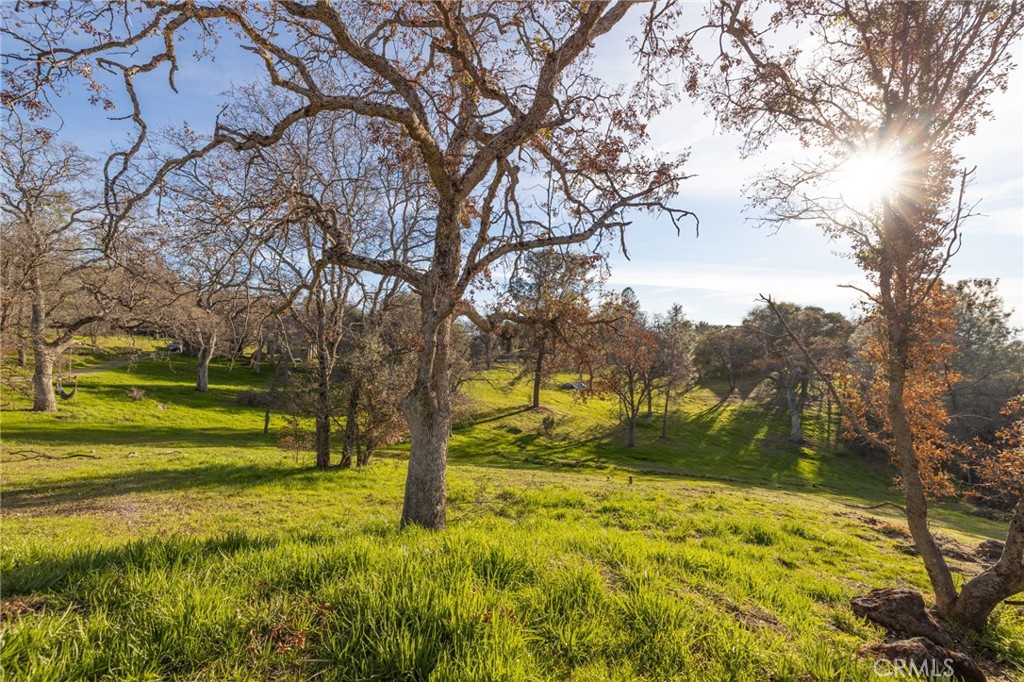 main property photo 43