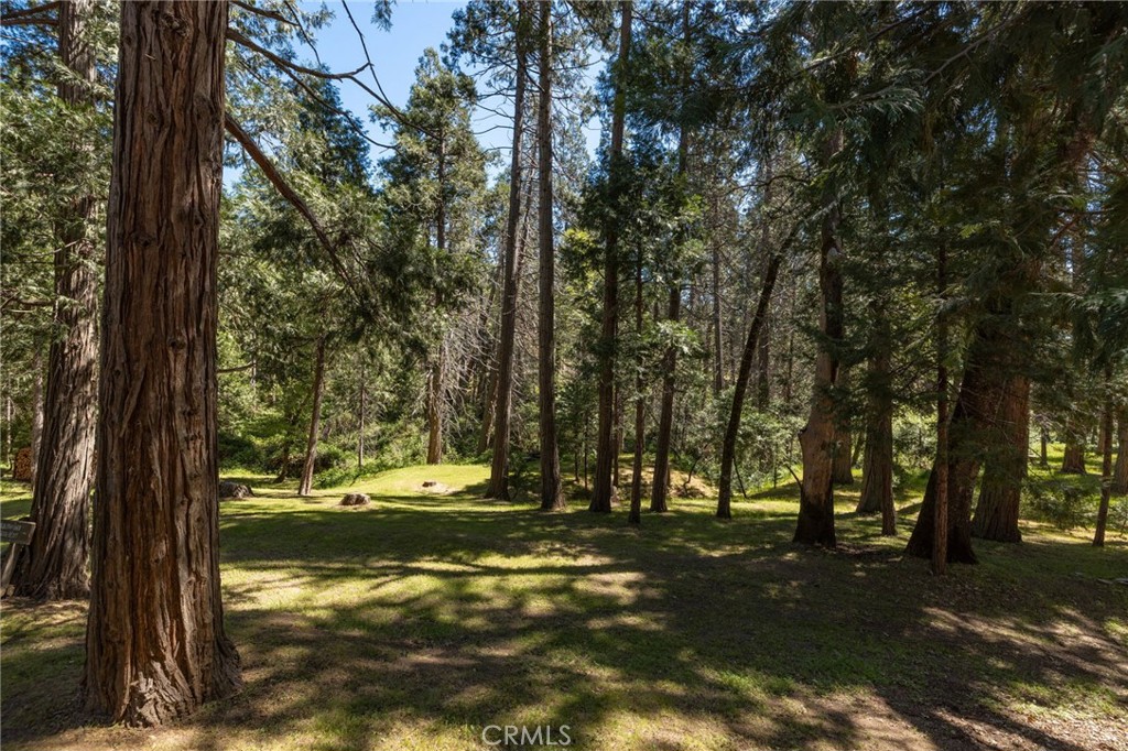 main property photo 48