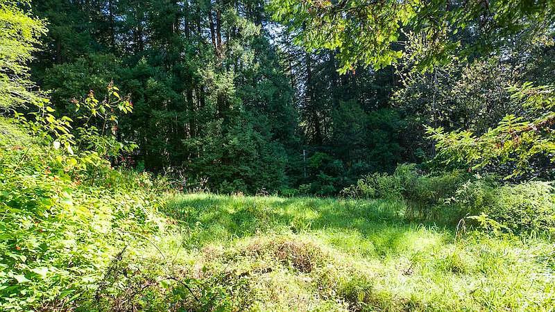 main property photo 42