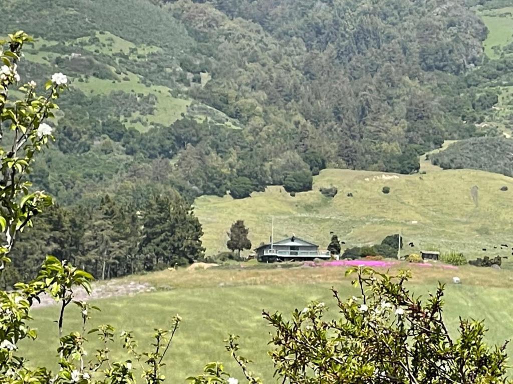 main property photo 9