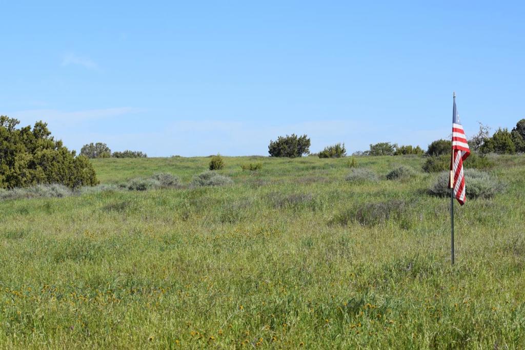 main property photo 90