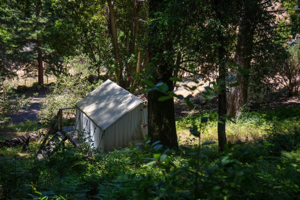 main property photo 76