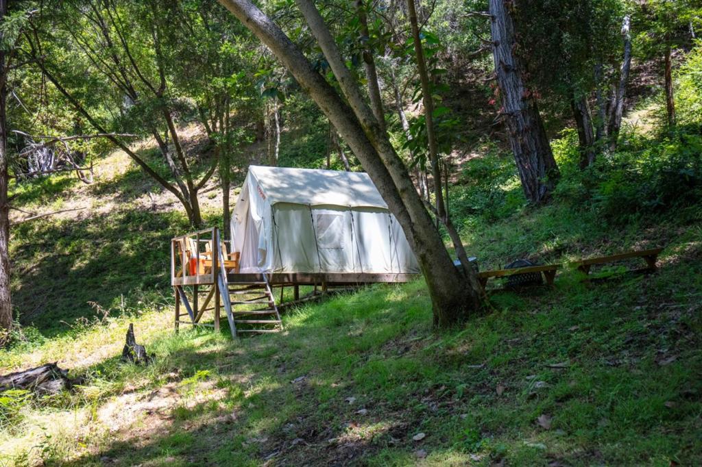 main property photo 77