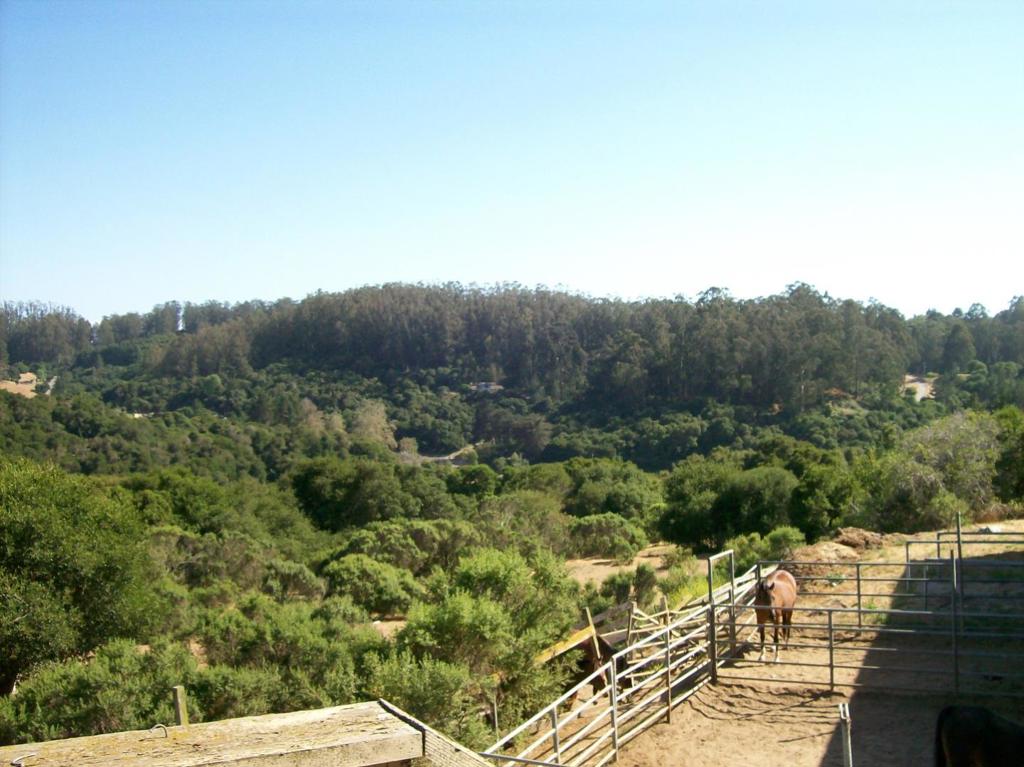 main property photo 43