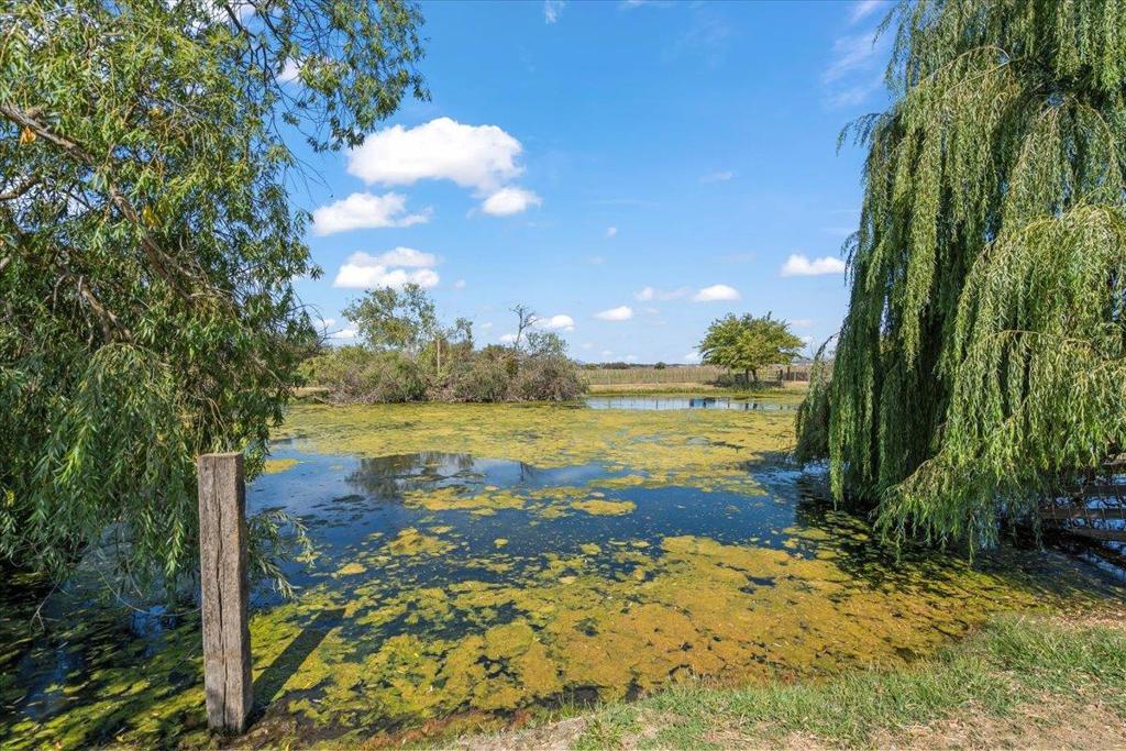 main property photo 47