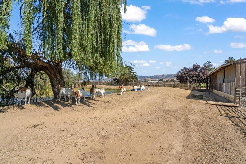 main property photo 48