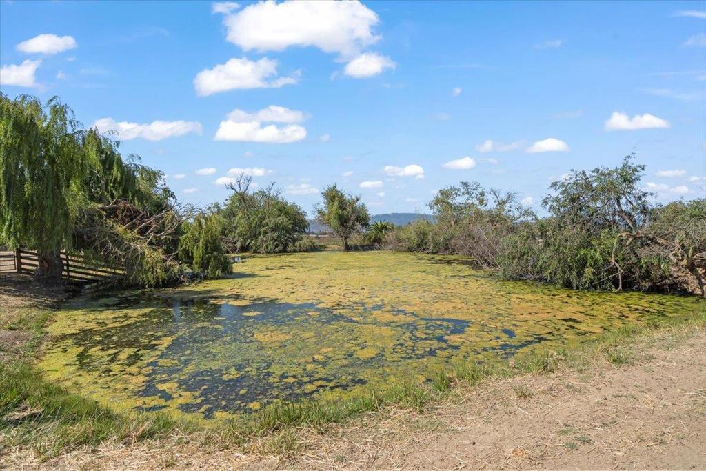 main property photo 49