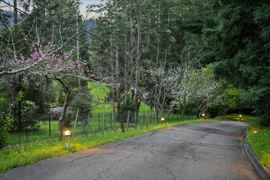 main property photo 73