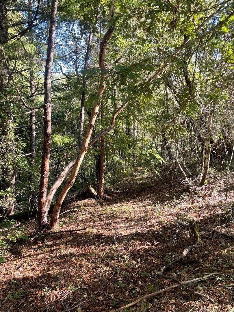 main property photo 11