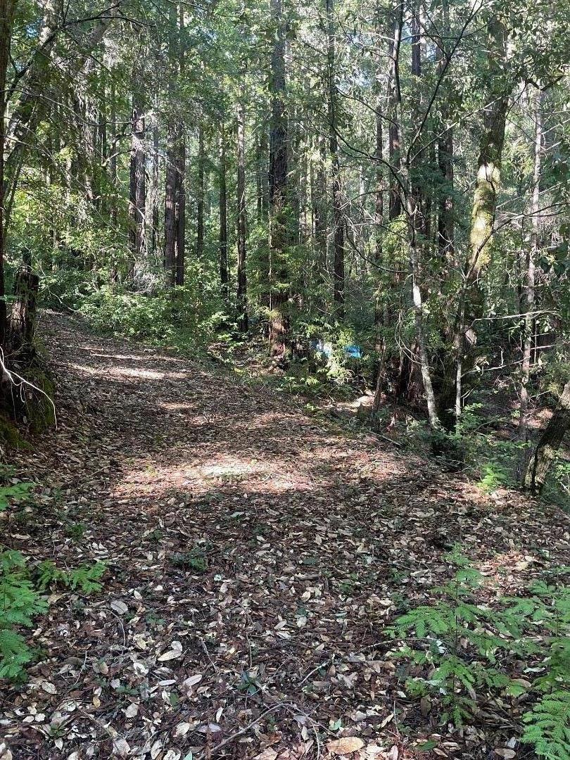 main property photo 8