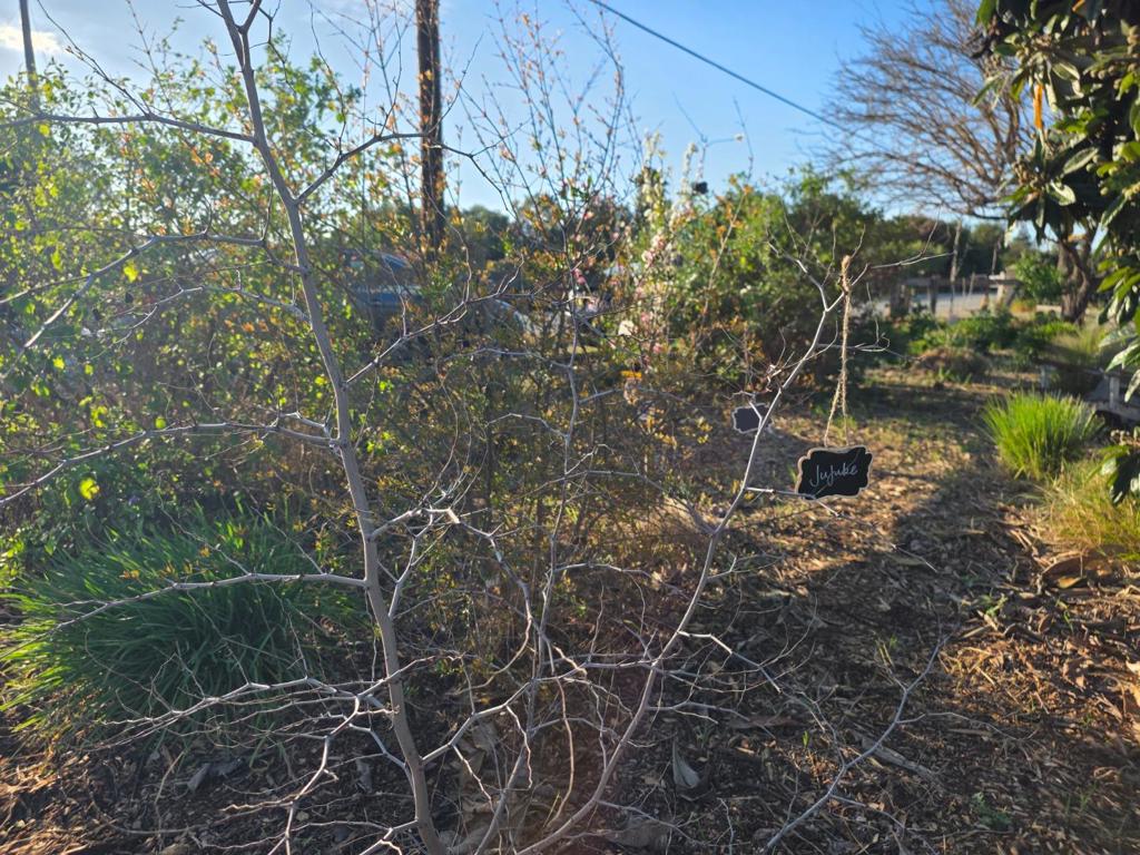 main property photo 38