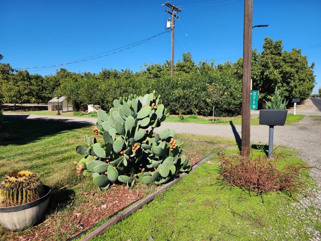 main property photo 43