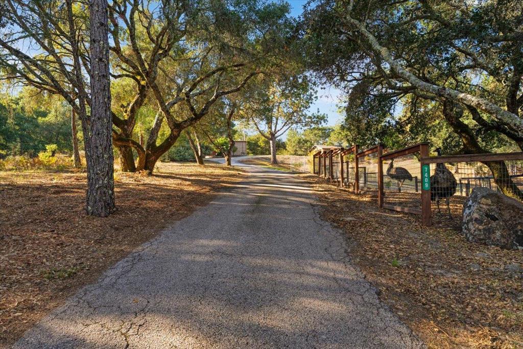 main property photo 83