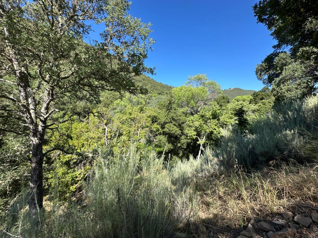 main property photo 74