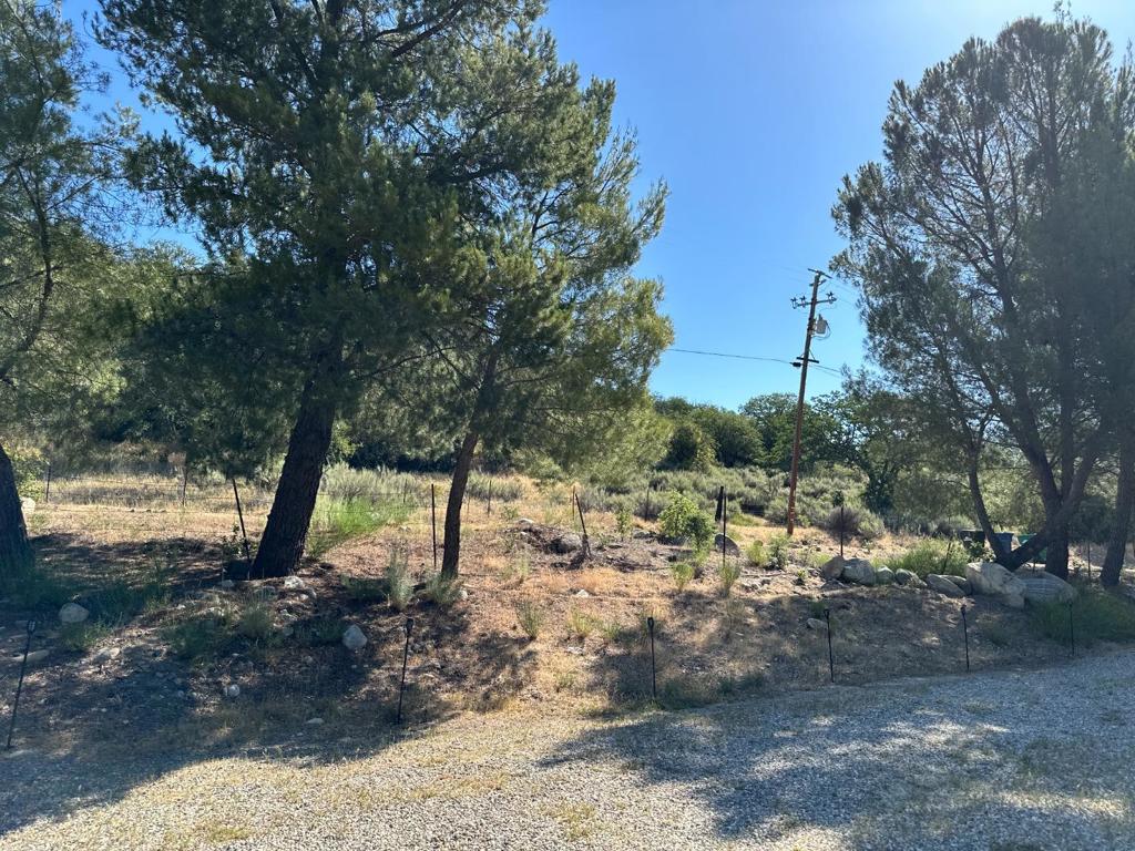 main property photo 95