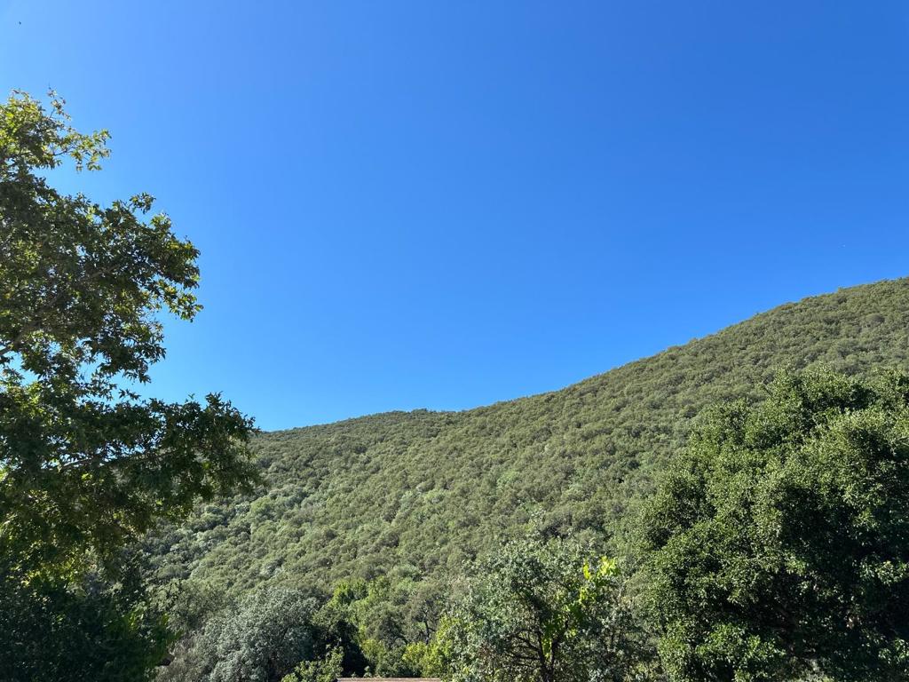 main property photo 98
