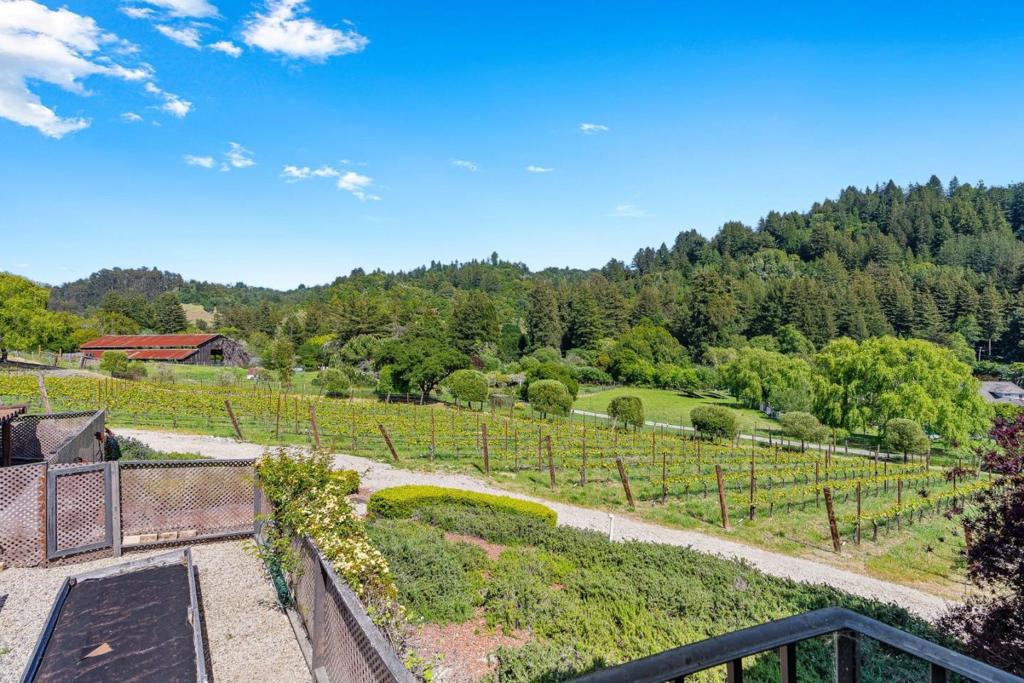 main property photo 38