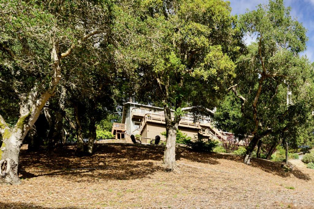 main property photo 98