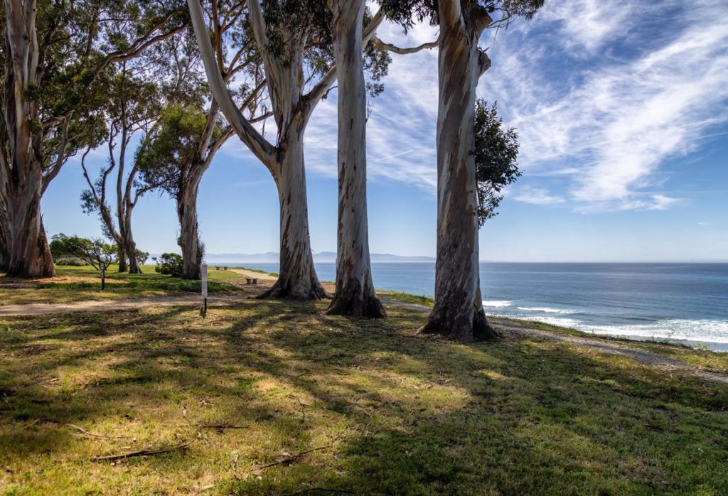 main property photo 63
