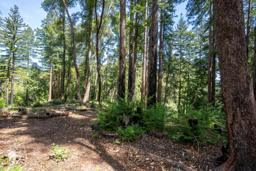 main property photo 51