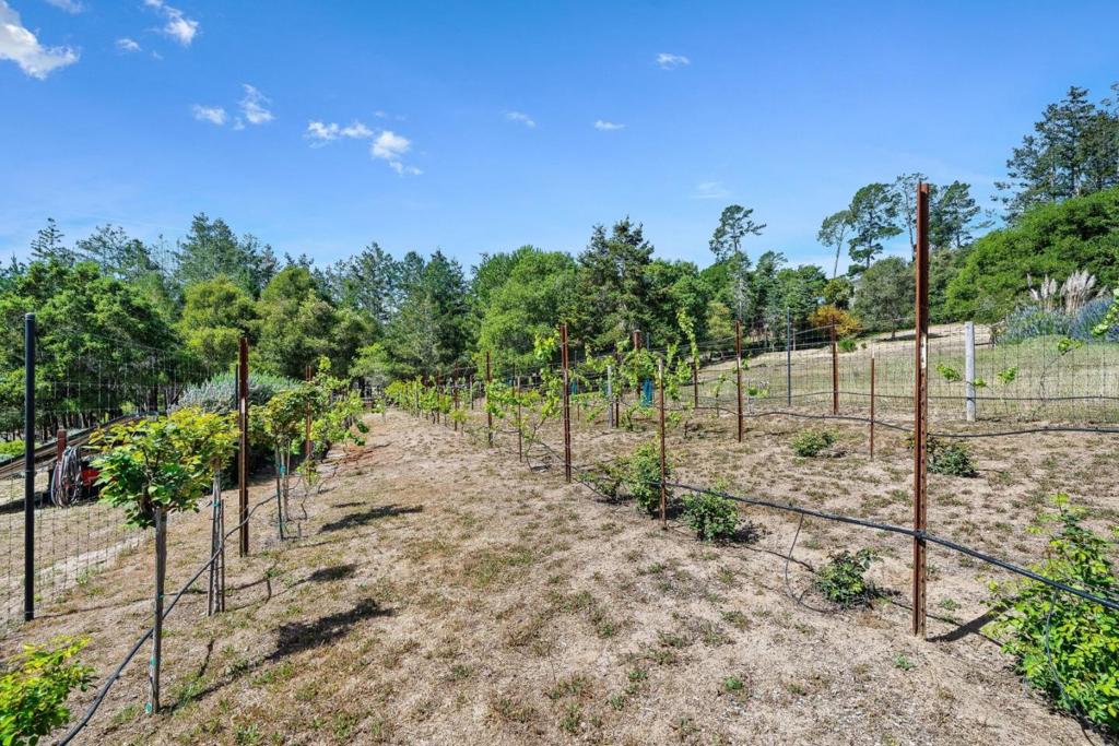 main property photo 54