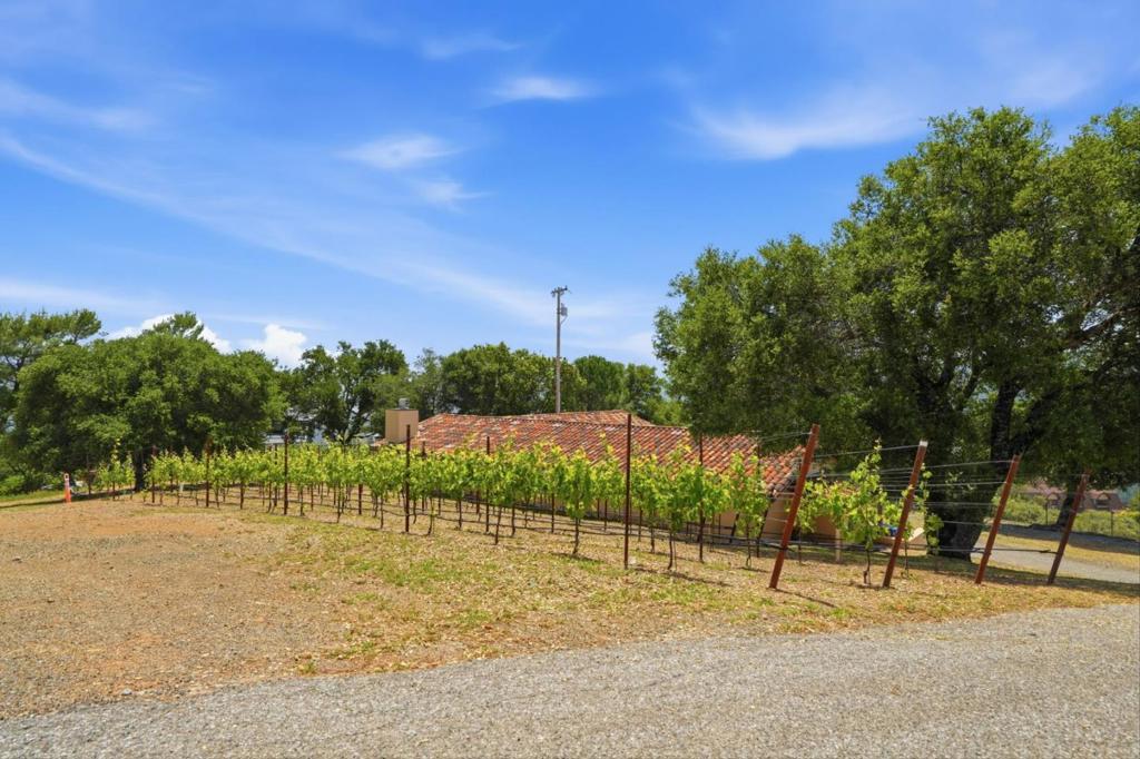 main property photo 82