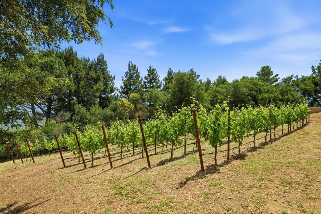main property photo 88