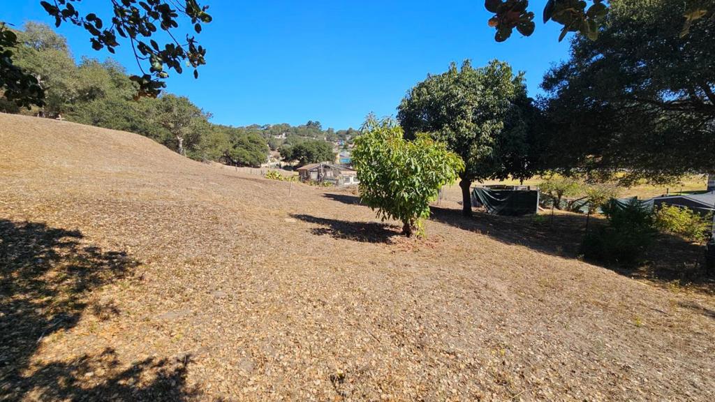 main property photo 17