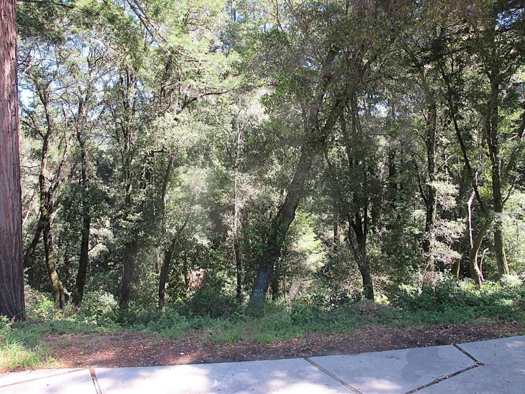 main property photo 50