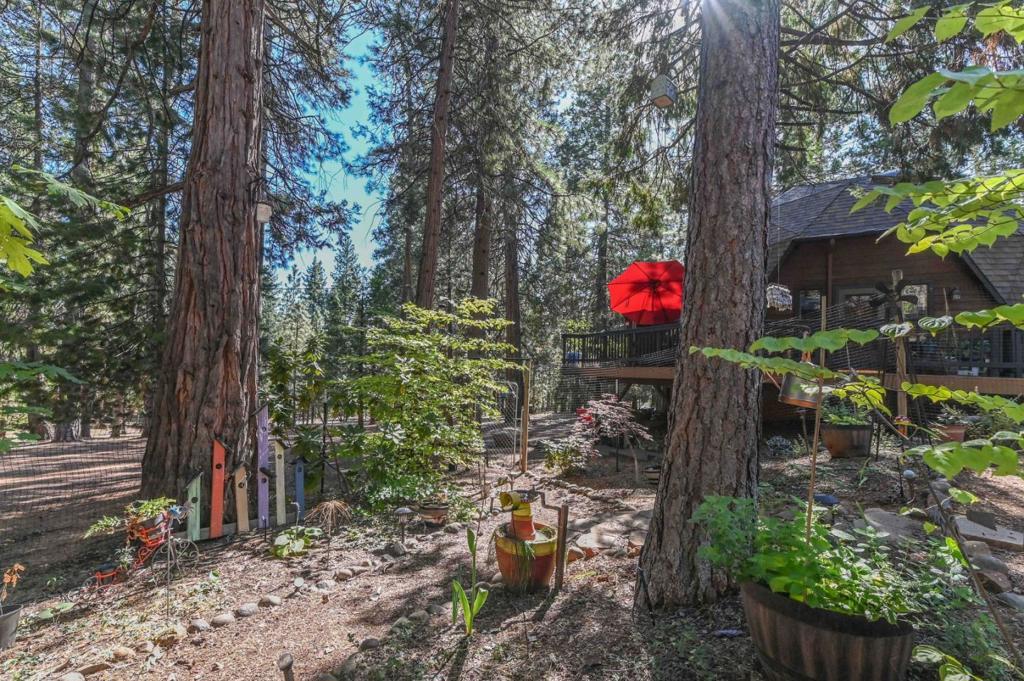 main property photo 59